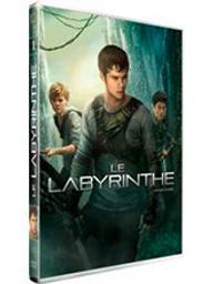 Labyrinthe (Le) / Wes Ball, réal. | Ball, Wes. Monteur
