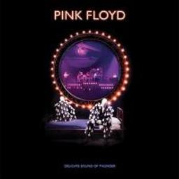 Delicate sound of thunder / Pink Floyd | Pink Floyd