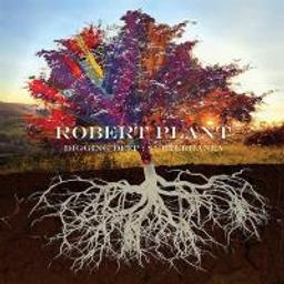Digging deep : subterranea / Robert Plant | Plant, Robert (1948-....)