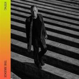 Bridge (The) / Sting | Sting (1951-....)